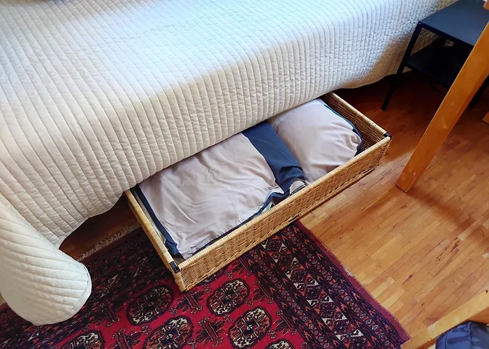 Campus Anton * 德累斯顿